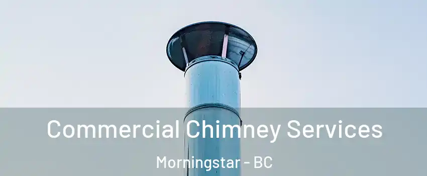  Commercial Chimney Services Morningstar - BC