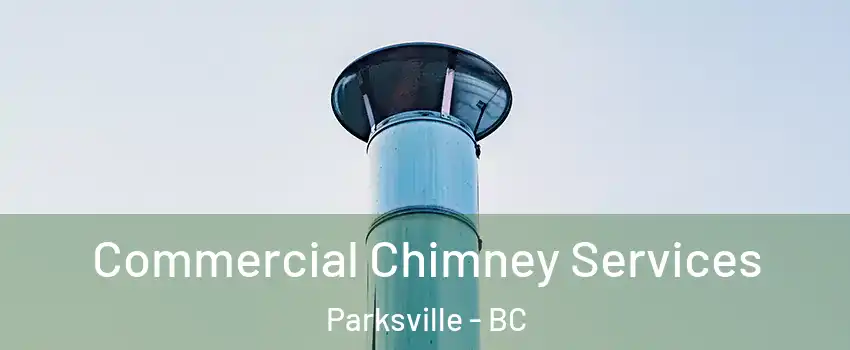  Commercial Chimney Services Parksville - BC