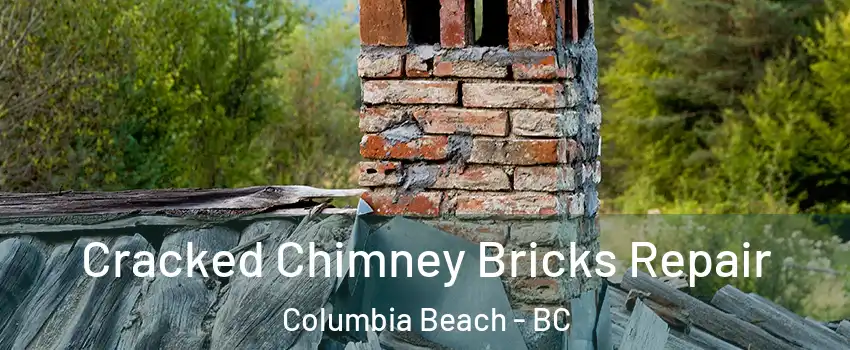  Cracked Chimney Bricks Repair Columbia Beach - BC