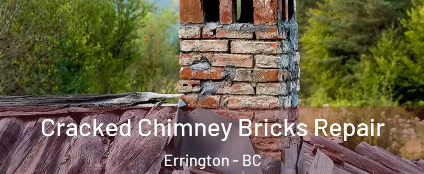  Cracked Chimney Bricks Repair Errington - BC
