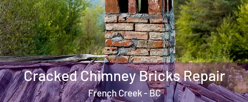  Cracked Chimney Bricks Repair French Creek - BC