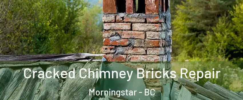  Cracked Chimney Bricks Repair Morningstar - BC