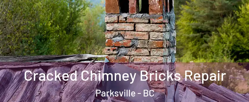  Cracked Chimney Bricks Repair Parksville - BC