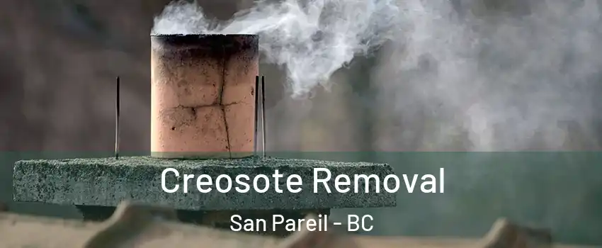  Creosote Removal San Pareil - BC