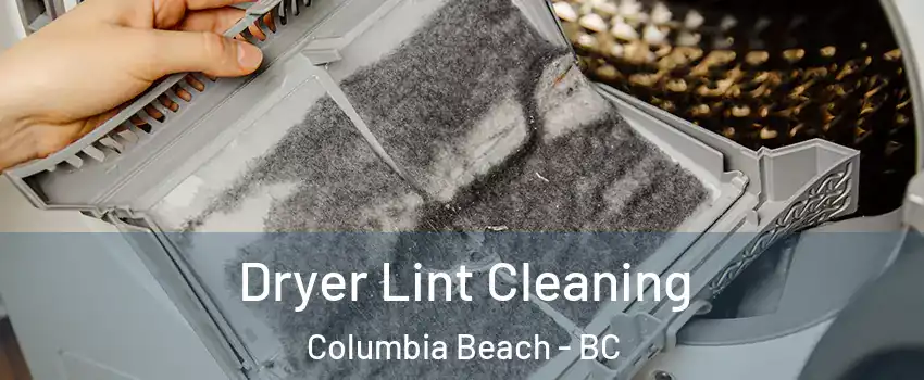  Dryer Lint Cleaning Columbia Beach - BC