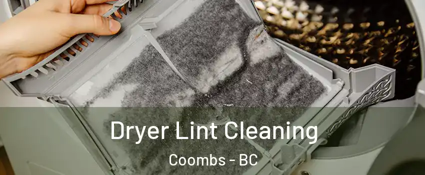  Dryer Lint Cleaning Coombs - BC