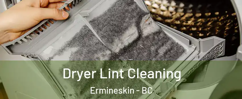  Dryer Lint Cleaning Ermineskin - BC