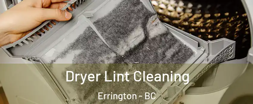  Dryer Lint Cleaning Errington - BC