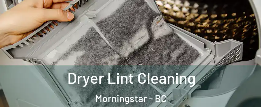  Dryer Lint Cleaning Morningstar - BC