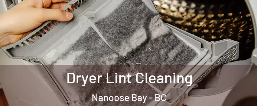  Dryer Lint Cleaning Nanoose Bay - BC