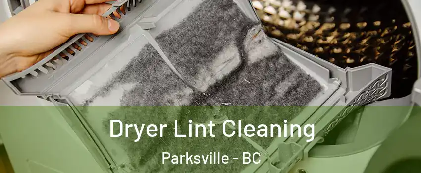  Dryer Lint Cleaning Parksville - BC