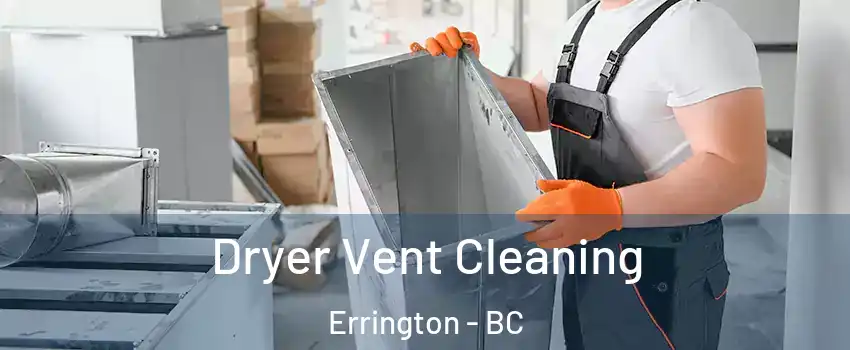  Dryer Vent Cleaning Errington - BC