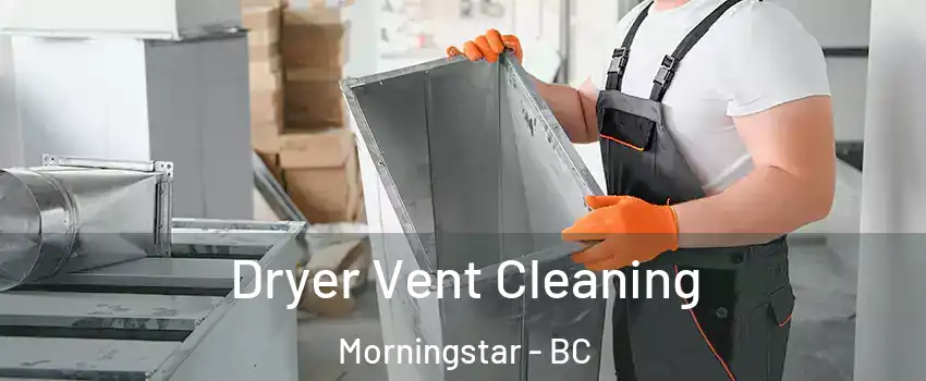  Dryer Vent Cleaning Morningstar - BC