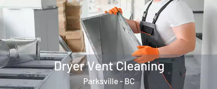  Dryer Vent Cleaning Parksville - BC