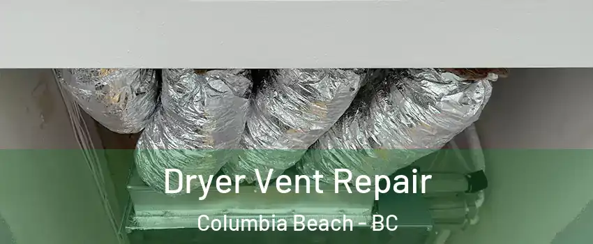  Dryer Vent Repair Columbia Beach - BC