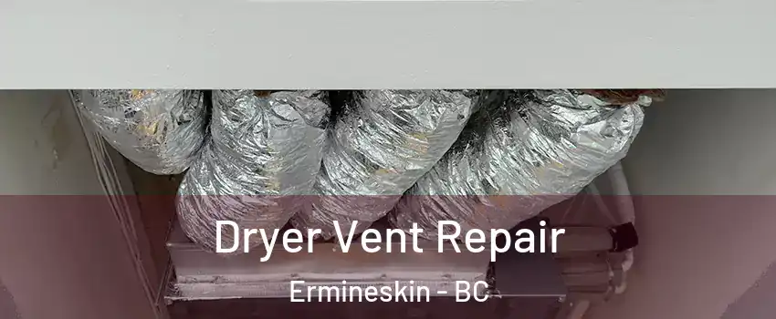  Dryer Vent Repair Ermineskin - BC