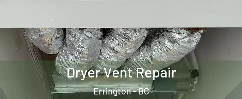  Dryer Vent Repair Errington - BC