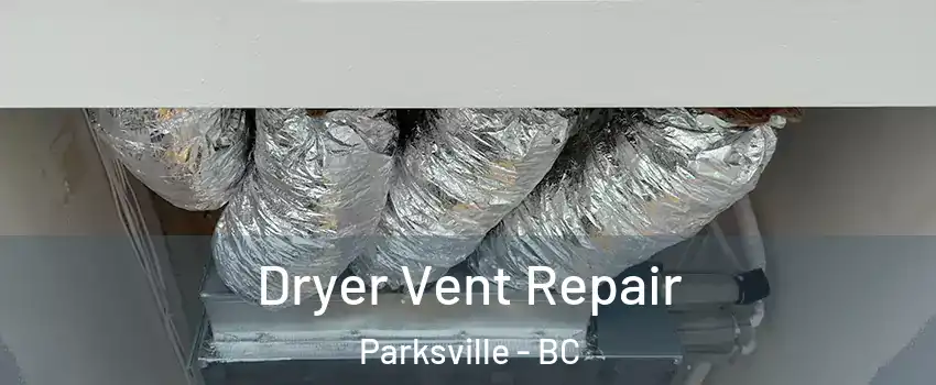  Dryer Vent Repair Parksville - BC