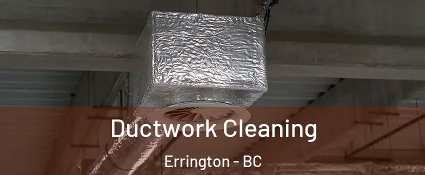  Ductwork Cleaning Errington - BC