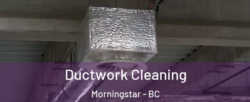  Ductwork Cleaning Morningstar - BC