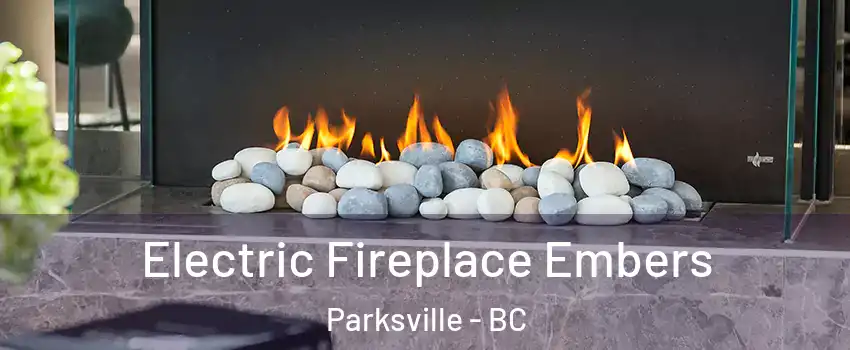  Electric Fireplace Embers Parksville - BC