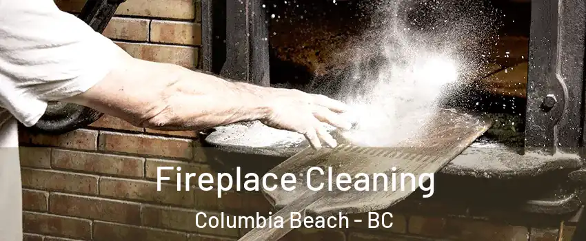  Fireplace Cleaning Columbia Beach - BC