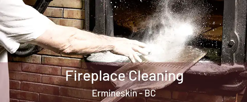  Fireplace Cleaning Ermineskin - BC