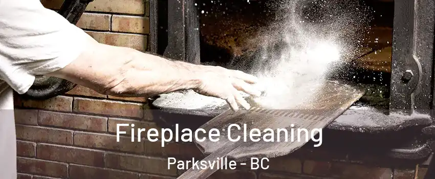  Fireplace Cleaning Parksville - BC