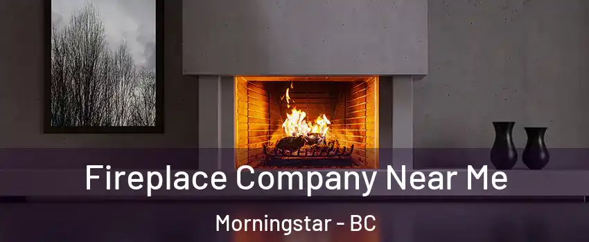 Fireplace Company Near Me Morningstar - BC