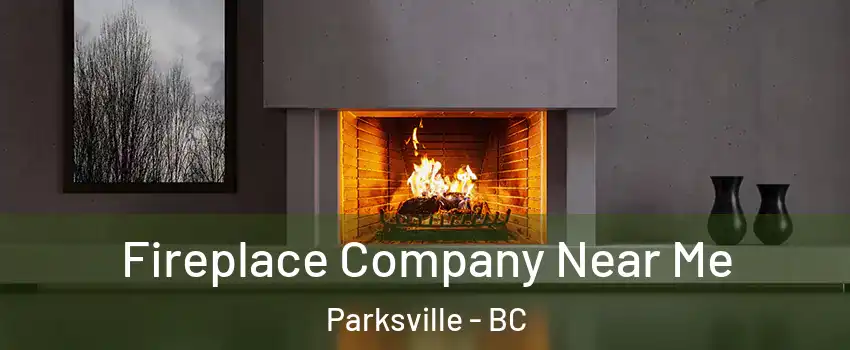  Fireplace Company Near Me Parksville - BC