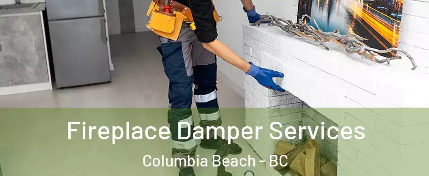 Fireplace Damper Services Columbia Beach - BC