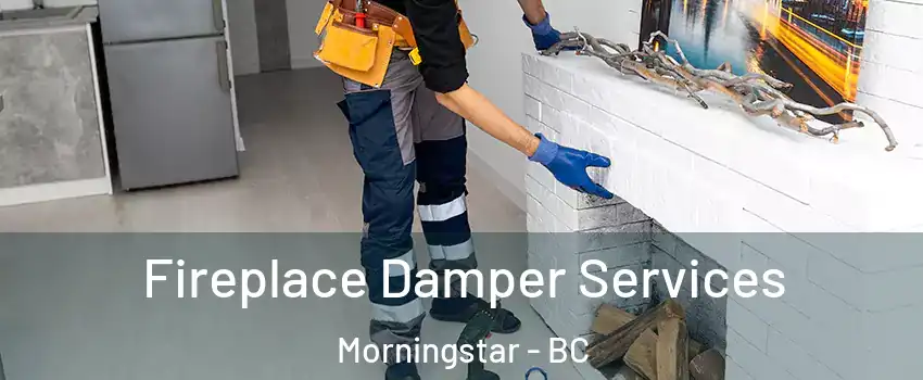 Fireplace Damper Services Morningstar - BC