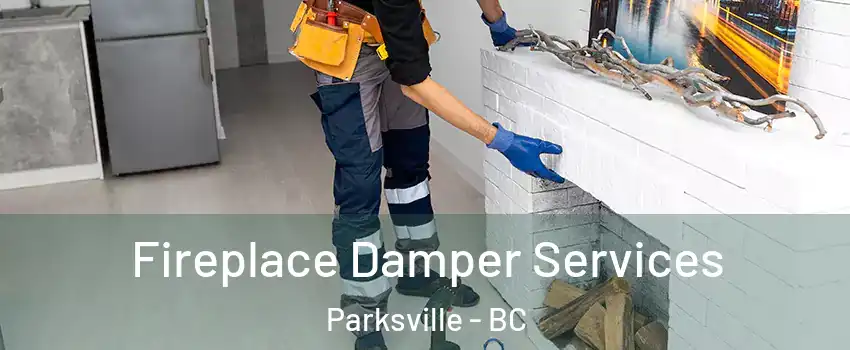 Fireplace Damper Services Parksville - BC