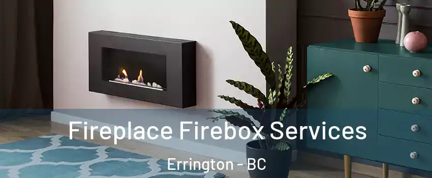  Fireplace Firebox Services Errington - BC