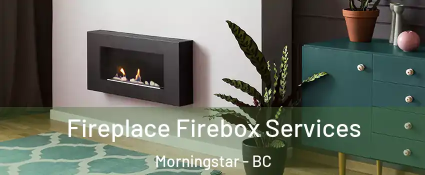  Fireplace Firebox Services Morningstar - BC