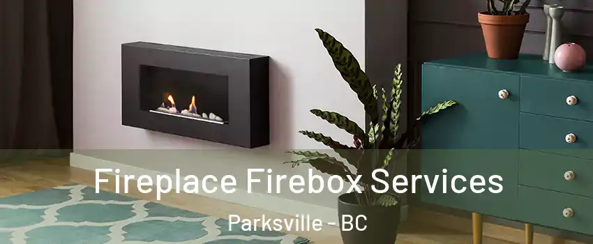  Fireplace Firebox Services Parksville - BC