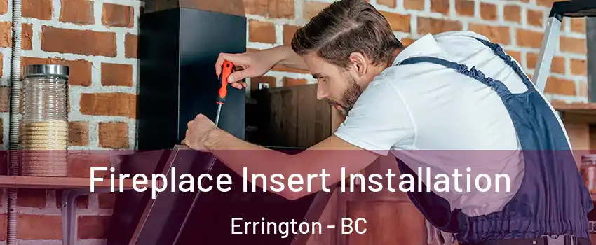  Fireplace Insert Installation Errington - BC