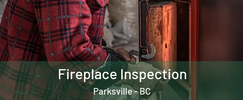  Fireplace Inspection Parksville - BC