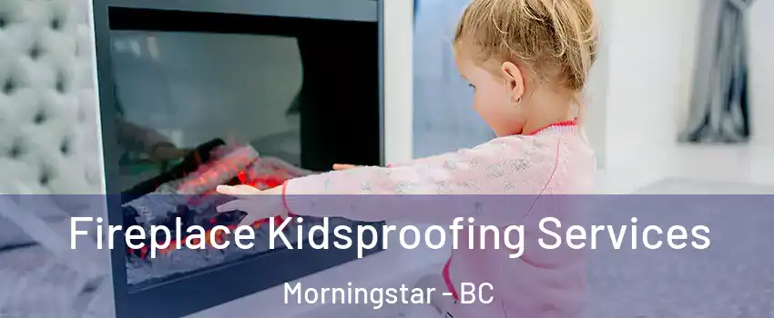  Fireplace Kidsproofing Services Morningstar - BC