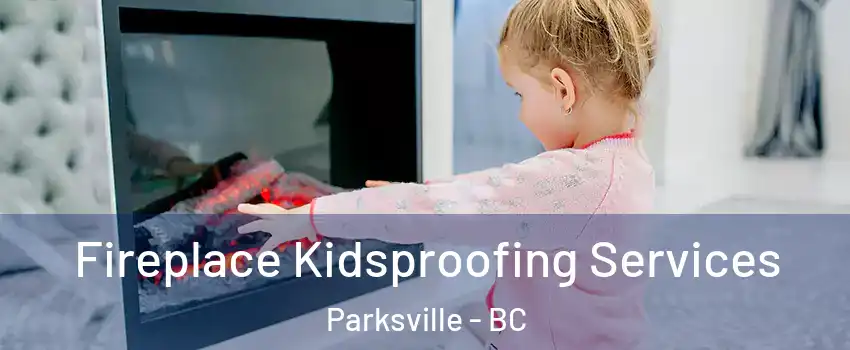  Fireplace Kidsproofing Services Parksville - BC