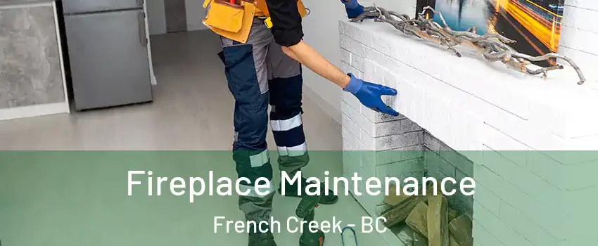  Fireplace Maintenance French Creek - BC