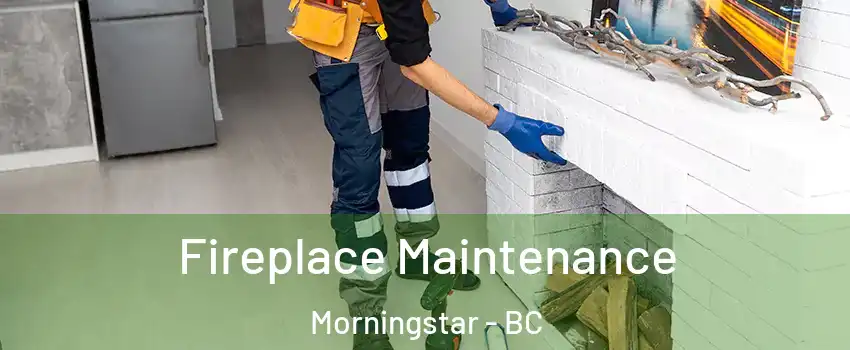  Fireplace Maintenance Morningstar - BC