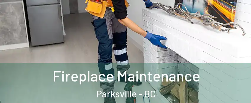  Fireplace Maintenance Parksville - BC