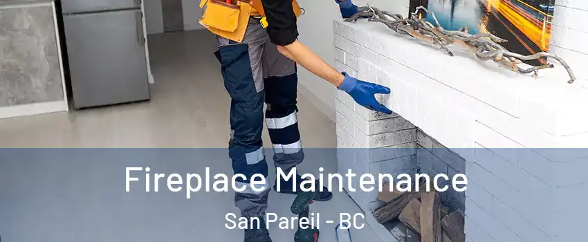  Fireplace Maintenance San Pareil - BC