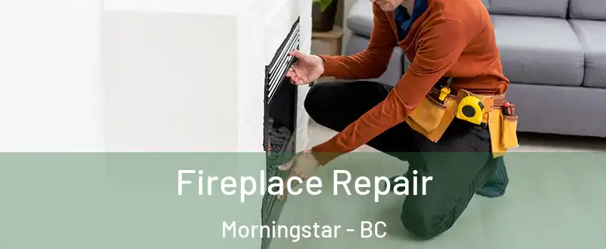  Fireplace Repair Morningstar - BC