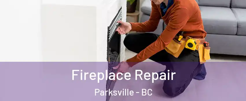  Fireplace Repair Parksville - BC