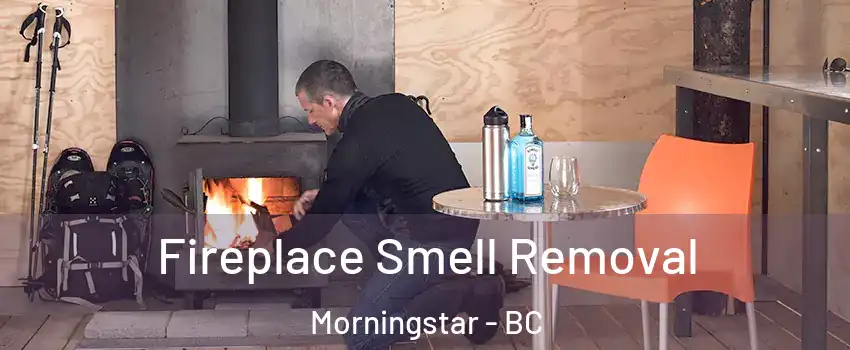  Fireplace Smell Removal Morningstar - BC