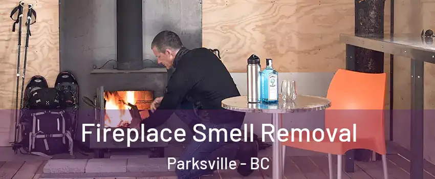  Fireplace Smell Removal Parksville - BC