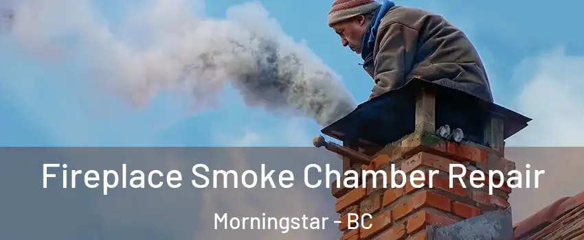  Fireplace Smoke Chamber Repair Morningstar - BC