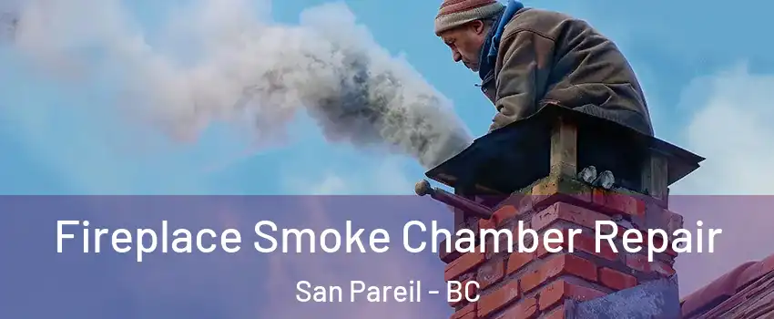  Fireplace Smoke Chamber Repair San Pareil - BC